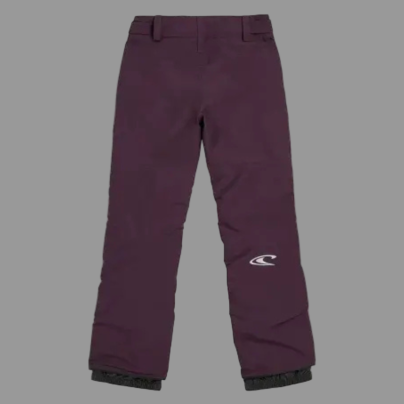 Maroon snow pants with a brand logo on a white background