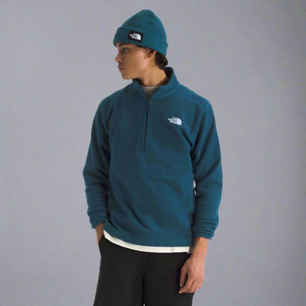 the north face textured cap rock 1/4 zip