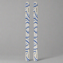 Salomon QST 106 Skis 2026