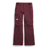 The North Face Freedom Insulated  Pants - Women's