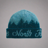 Blue beanie with mountain design and 'The North Face' logo on a white background