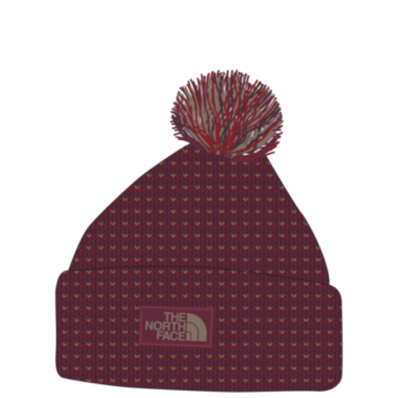 The North Face Cozy Chunky Cabin Beanie 2027
