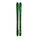 Green skis with line branding on a white background