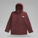 the north face mens thermoball snow triclimate jacket