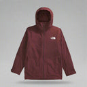 the north face mens thermoball snow triclimate jacket